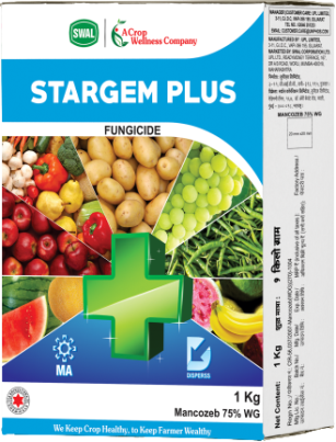 STARGEM PLUS